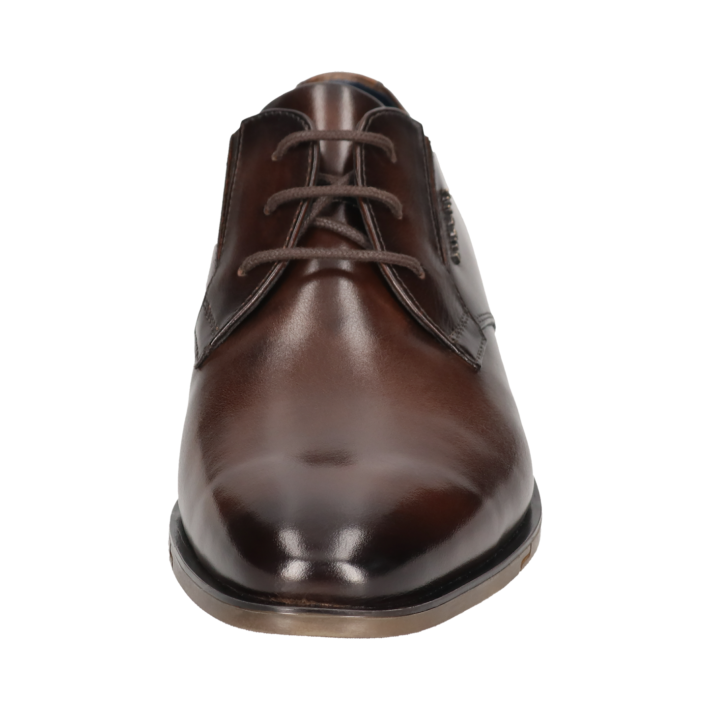 Bugatti Shoes - Dark Brown (311-AFY02)