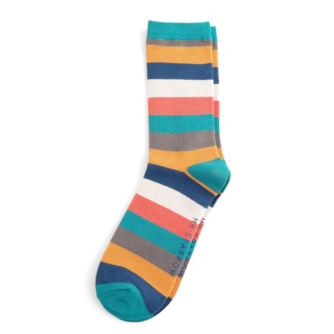 Mr Sparrow Rainbow Stripes Socks - Teal