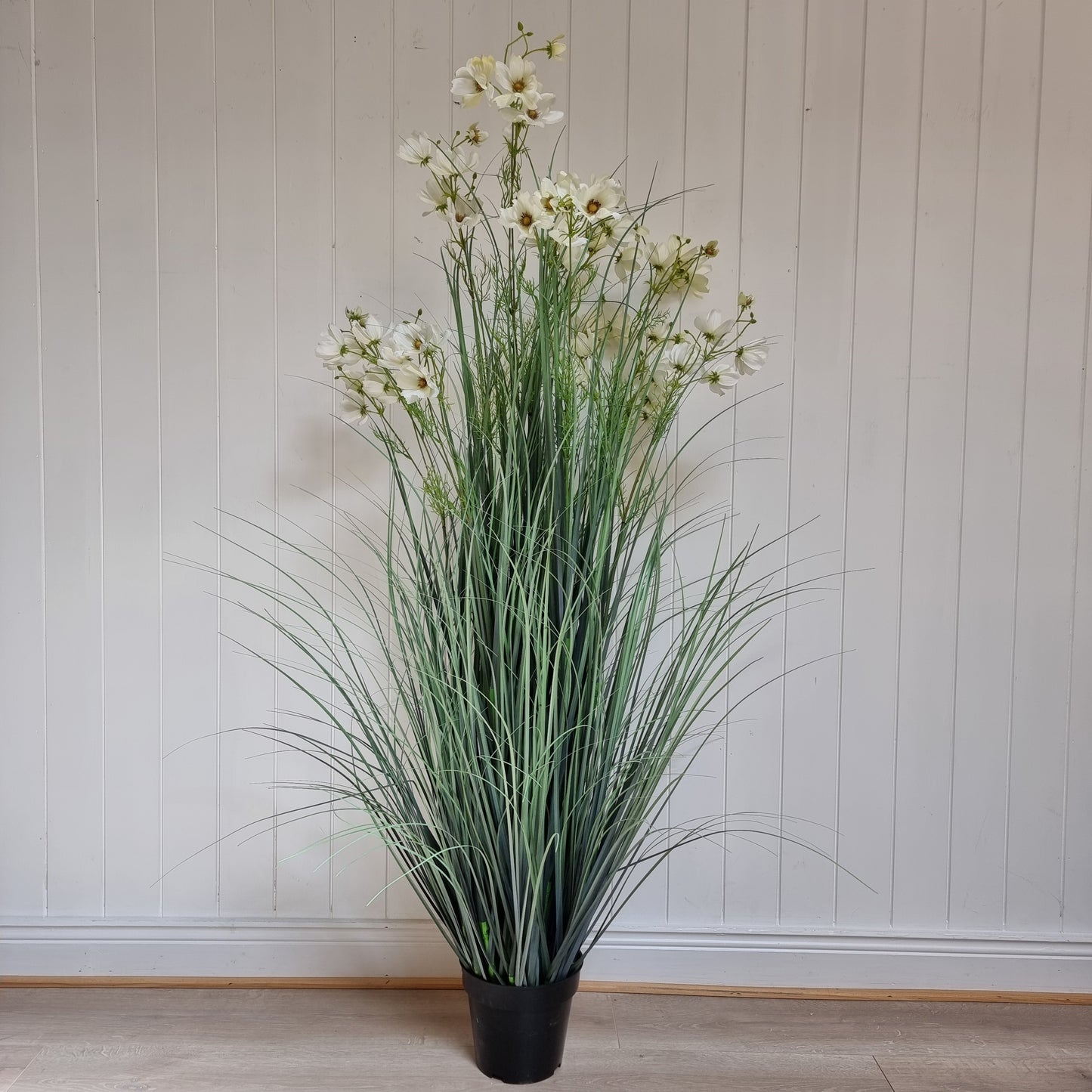 Large White Meadow Plant in Pot