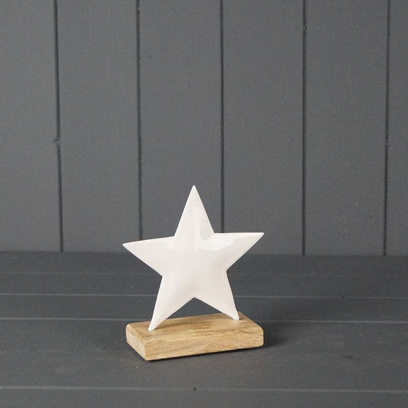 White Enamelled Star (12.5cm)