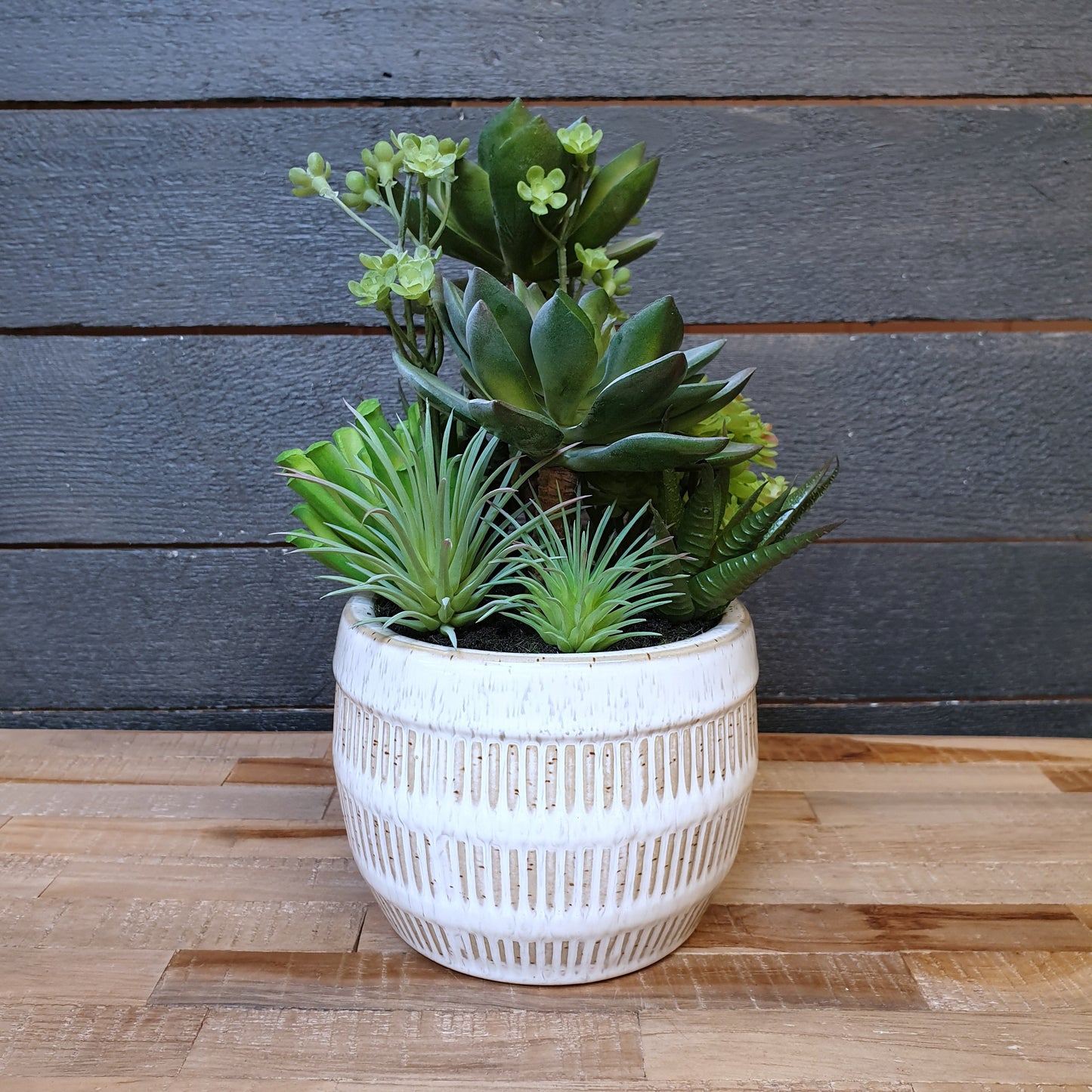 Ceramic Potted Succulent