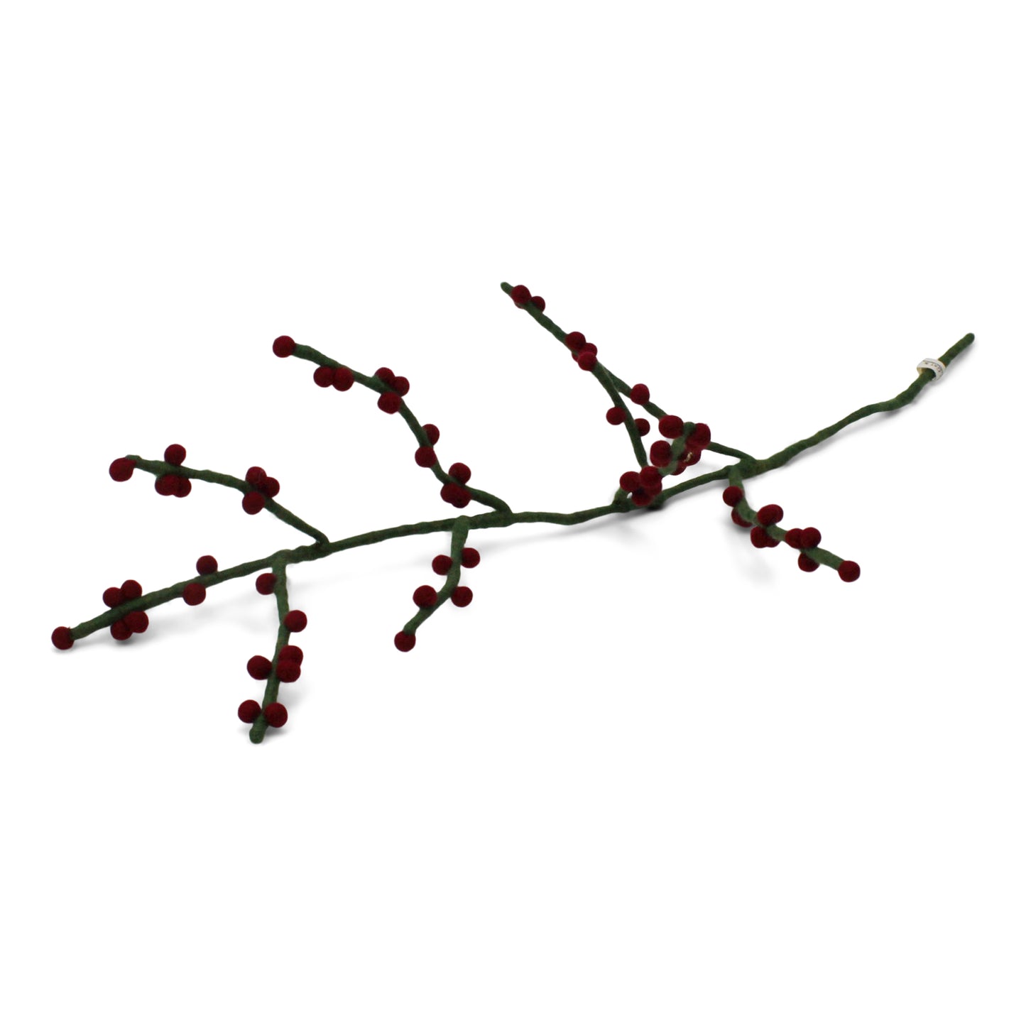 Green Branch with Dark Red Berries