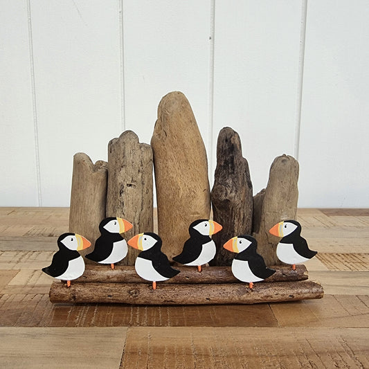 Six Puffins with Groynes