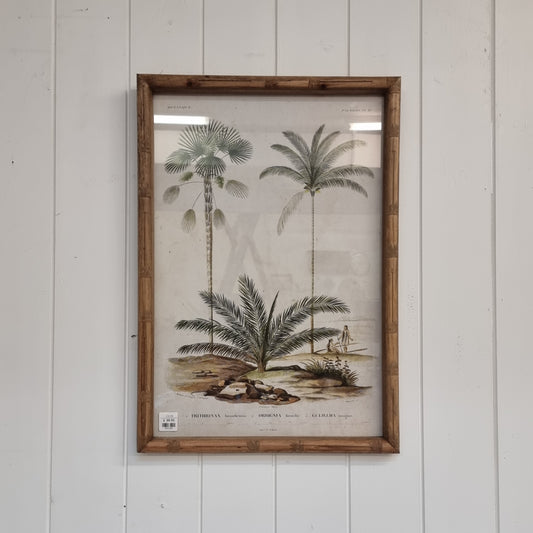 Palm Tree Picture (Palmers 10)