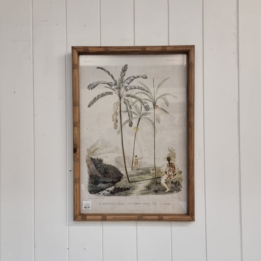 Palm Tree Picture (Palmers 2)