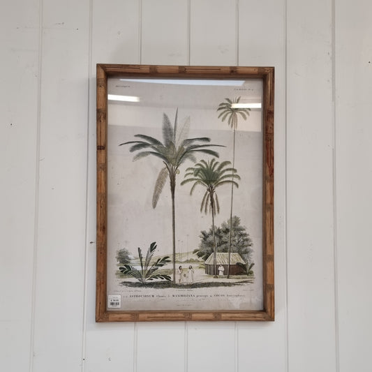 Palm Tree Picture (Palmers 4)