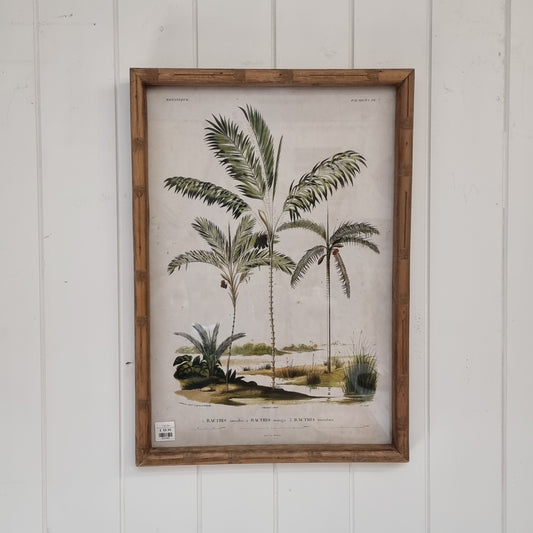 Palm Tree Picture (Palmers 7)