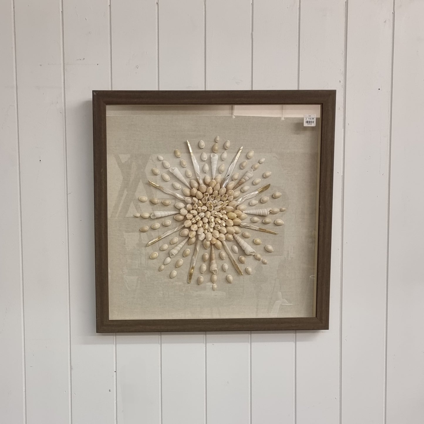 Shells Wall Art