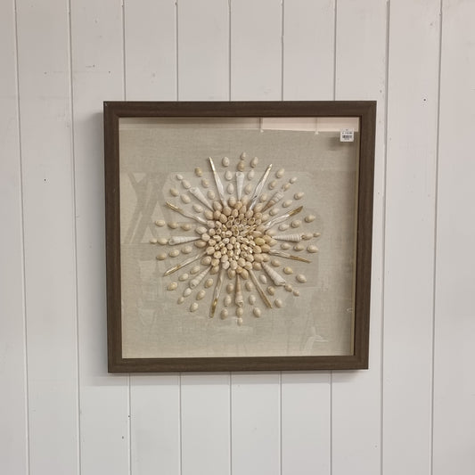 Shells Wall Art