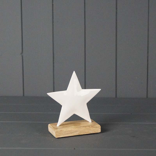 White Enamelled Star (12.5cm)