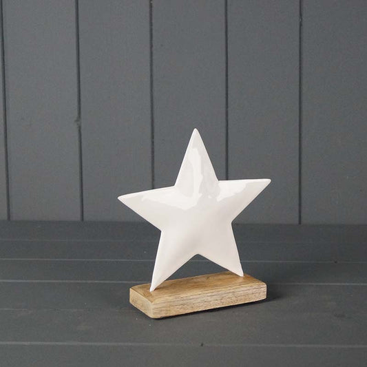 White Enamelled Star (16cm)