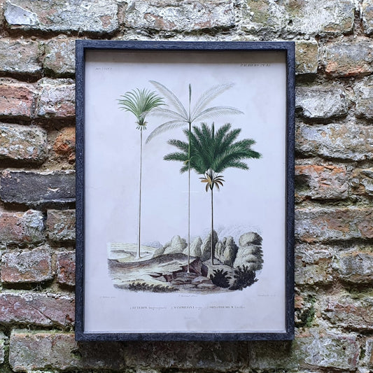 Botanic Print