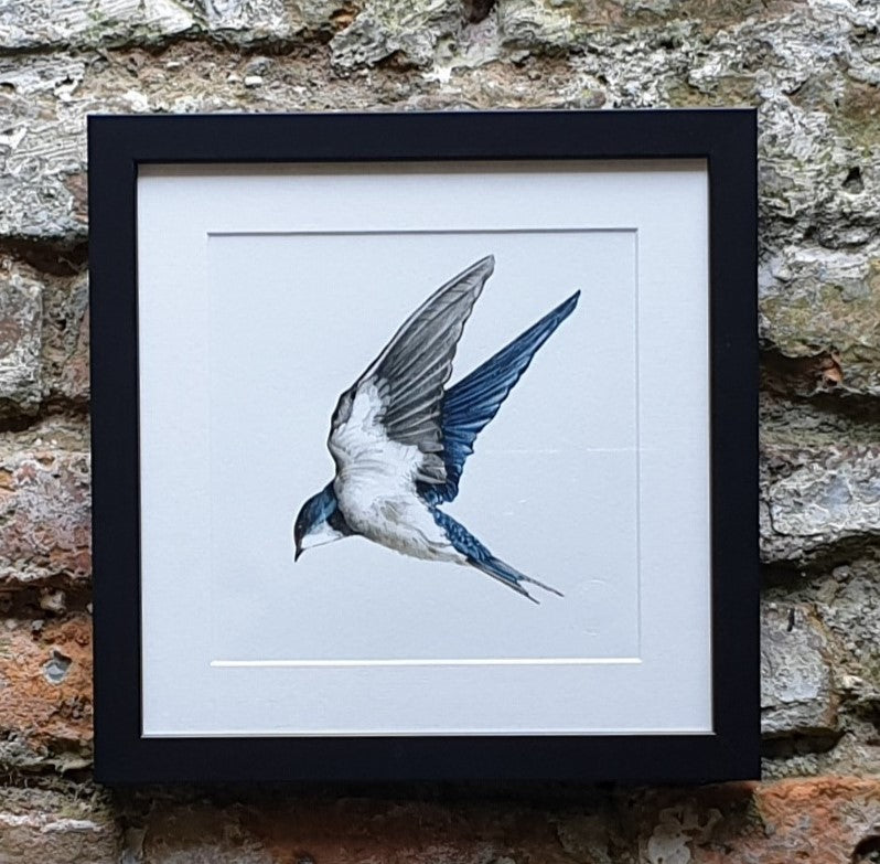 Swallow Print