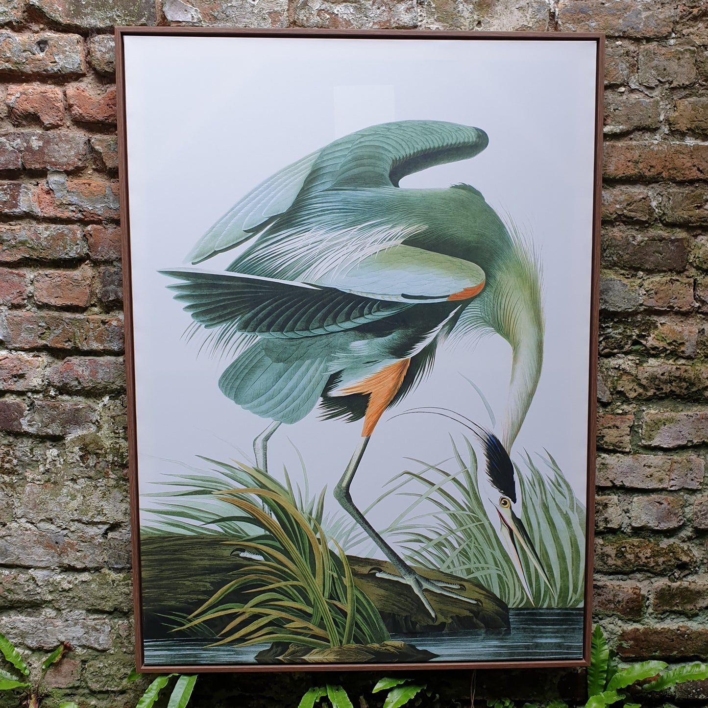 Green Crane