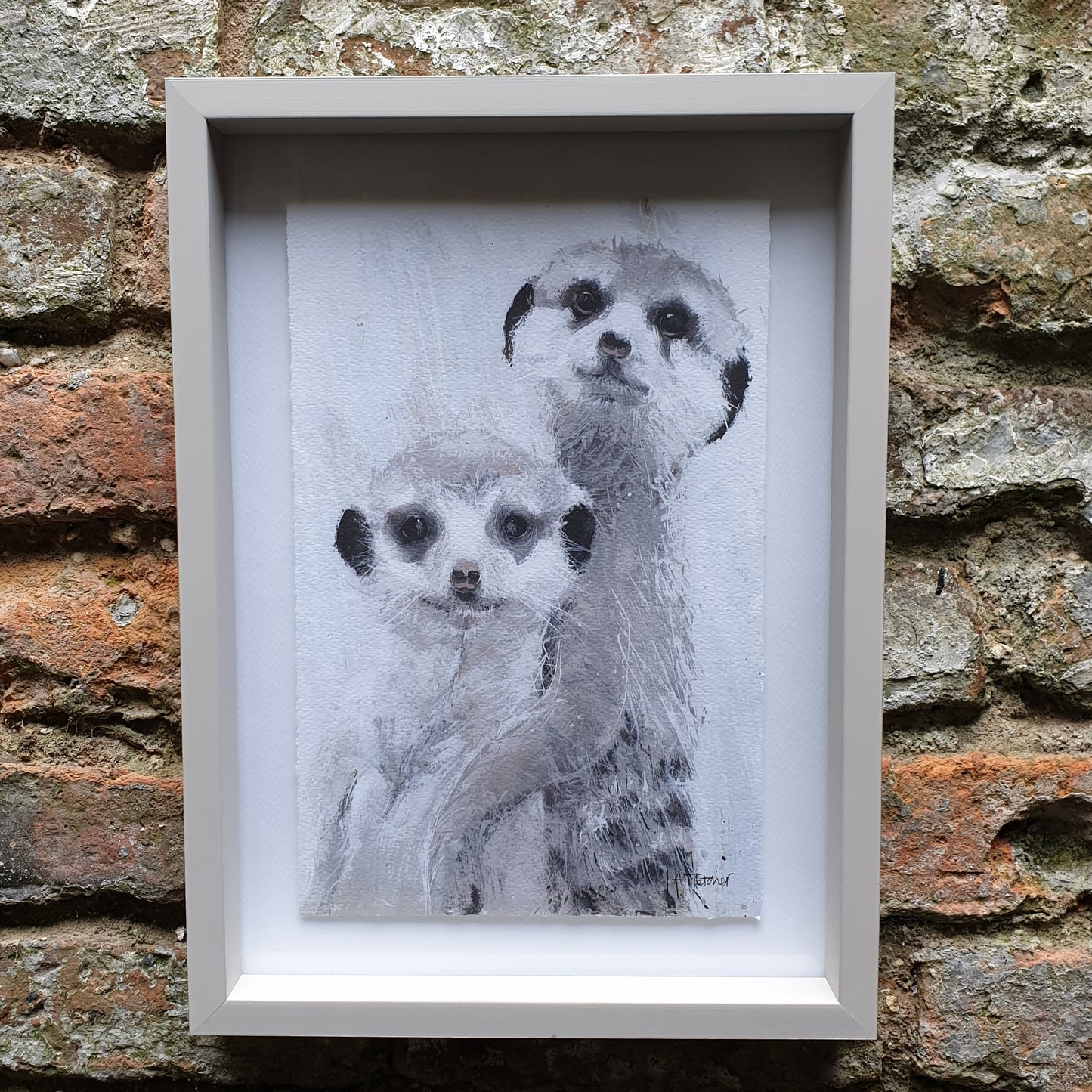 Meerkat (Pair)