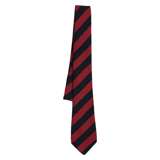 Our Lady of Lourdes Tie